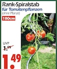 Rank-Spiralstab Angebote bei Wreesmann Dresden für 1,49 €