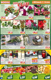 Paprika-Mix im aktuellen Norma Prospekt (München) Paprika-Mix im Norma Prospekt "Mehr fürs Geld" mit 28 Seiten (München)