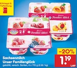 Aktuelle Joghurt Angebote bei Netto Marken-Discount in Leipzig Aktuelles Unser Familienglück Angebot bei Netto Marken-Discount in Leipzig ab 1,19 €