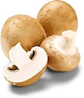 Aktuelles Champignon braun Angebot bei Netto Marken-Discount in Stuttgart ab 1,79 €