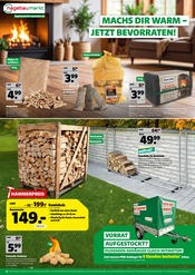 Kaminholz im Hagebaumarkt Prospekt in Germering Aktueller Hagebaumarkt Prospekt mit Kaminholz, "HERBSTGEFÜHLE ZUM SPARPREIS", Seite 8