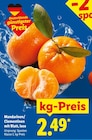 Mandarinen/Clementinen mit Blatt, lose für 2,49 € bei Lidl im Angebot Mandarinen/Clementinen mit Blatt, lose im aktuellen Lidl Prospekt