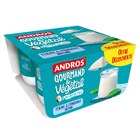 Dessert Brassé Végétal "Offre Découverte" - ANDROS en promo chez Carrefour Dessert Brassé Végétal "Offre Découverte" - ANDROS dans le catalogue Carrefour