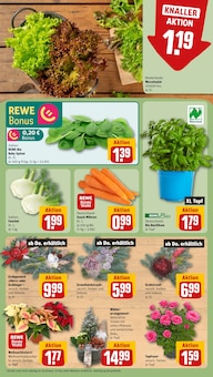 Schal Angebot im REWE Prospekt, gültig von 10.11.2025 bis 15.11.2025 Schal Angebot im aktuellen REWE Prospekt auf Seite 7