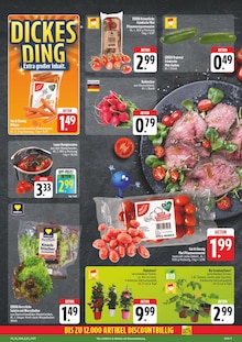 Tomaten im EDEKA Prospekt "Wir lieben Lebensmittel!" mit 28 Seiten (Leipzig)