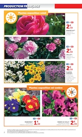 Jardinage Angebote im Prospekt "U Express" von U Express auf Seite 2