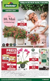 Dehner Garten-Center Prospekt mit 18 Seiten (Lauterhofen)