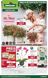 Aktueller Dehner Garten-Center Baumärkte Prospekt in Pegau und Umgebung, "Am 10. Mai ist Muttertag!" mit 18 Seiten, 06.05.2026 - 11.05.2026