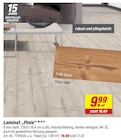 Laminat 'Pinie' Angebote bei toom Baumarkt Delmenhorst für 19,89 €