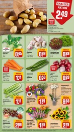 Blumen Angebot & Preis im aktuellen REWE Prospekt Blumen Angebot im aktuellen REWE Prospekt auf Seite 7