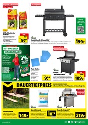 Grillkohle im Hagebaumarkt Prospekt in Ettlingen Aktueller Hagebaumarkt Prospekt mit Grillkohle, "SO günstig geht das!", Seite 5