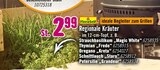 Regionale Kräuter im Angebot bei Hornbach in Bremerhaven Regionale Kräuter Angebote von FloraSelf bei Hornbach Bremerhaven für 2,99 €