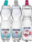 Mineralwasser oder Nearwater Angebote von Gerolsteiner bei Netto Marken-Discount Konstanz für 0,99 €