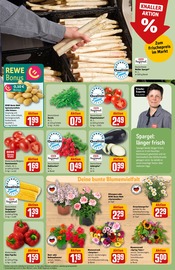 Ähnliche Briefkasten Angebote im Prospekt "Dein Markt" von REWE in Germering Ähnliche Angebote wie Briefkasten im Prospekt "Dein Markt" auf Seite 7 von REWE in Germering