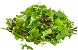 Bio Crispy Salatmix Angebote von REWE Bio bei REWE Bruchsal für 1,11 €