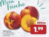 famila Nordwest - Nektarinen Angebot im Prospekt Nektarinen bei famila Nordwest im Prospekt "" für 1,99 €