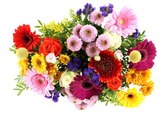 Blumenstrauß »Surprise« im Angebot bei REWE in Fellbach Blumenstrauß »Surprise« Angebote bei REWE Fellbach für 3,99 €