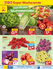 Johannisbeeren Angebote im Prospekt "Aktuelle Angebote" von Netto Marken-Discount Johannisbeeren Angebote im Prospekt "Aktuelle Angebote" von Netto Marken-Discount auf Seite 46