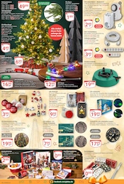 Aktueller GLOBUS Prospekt mit Geschenkpapier, "Aktuelle Angebote", Seite 25