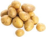Speisekartoffeln im Angebot bei REWE in Dortmund Speisekartoffeln Angebote von REWE Bio bei REWE Dortmund für 2,22 €