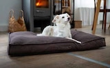 Hundekissen S Angebote bei Zurbrüggen Ahlen für 19,99 €