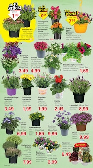 Kräuter im Jawoll Prospekt "Sonderposten-Märkte" mit 16 Seiten (Hannover)