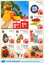 Kuchen im Marktkauf Prospekt Top Angebote auf S. 4