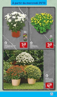 Promotion Vêtements Fille dans le prospectus Aldi, valable du 28/10/2025 au 03/11/2025 Promo Vêtements Fille dans le catalogue Aldi du moment à la page 43