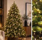 LED-Lichterkette L ca. 180 cm im Segmüller Prospekt LED-Lichterkette L ca. 180 cm von im aktuellen Segmüller Prospekt für 14,99 €