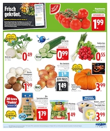 EDEKA Bio Zwiebel im Prospekt 