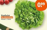 Kopfsalat bei tegut im Aichwald Prospekt für 0,99 €