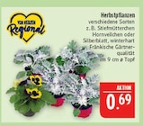 Herbstpflanzen im Angebot bei Marktkauf in Plauen Herbstpflanzen Angebote bei Marktkauf Plauen für 0,69 €