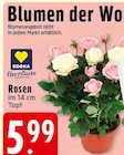 Angebot im EDEKA Duisburg Prospekt EDEKA Duisburg Prospekt mit im Angebot für 5,99 €
