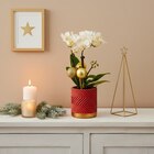 Mini orchidée - Carrefour à Angers Mini orchidée en promo chez Carrefour Angers à 10,99 €