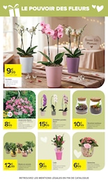 Prix et réduction Fleurs d'extérieur dans le prospectus Carrefour en cours Offre Fleurs d'extérieur dans le catalogue Carrefour du moment à la page 4