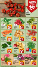 Aktueller REWE Prospekt mit Pfifferlinge, "Dein Markt", Seite 7