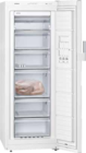 Gefrierschrank GS29NEWEV bei expert im Dingolfing Prospekt für 649,00 €