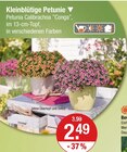 Kleinblütige Petunie im Angebot bei V-Markt in Regensburg Kleinblütige Petunie Angebote bei V-Markt Regensburg für 2,49 €