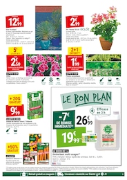 Offre Plante Aromatique dans le catalogue Gamm vert du moment à la page 3