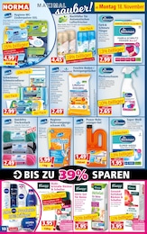 Swimmingpool Angebot im aktuellen Norma Prospekt auf Seite 10