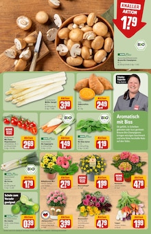 Pflanzen im aktuellen REWE Prospekt (Jena) Pflanzen im REWE Prospekt "Dein Markt" mit 24 Seiten (Jena)