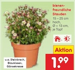 Bienenfreundliche Stauden Angebote bei Netto Marken-Discount Freiberg für 1,99 €