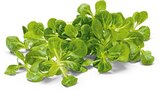 Bio Feldsalat im Angebot bei Netto Marken-Discount in Bergisch Gladbach Bio Feldsalat Angebote von BioBio bei Netto Marken-Discount Bergisch Gladbach für 1,29 €