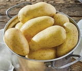 Pomme de terre de consommation à chair ferme - Intermarché Express à Asnières-sur-Seine Pomme de terre de consommation à chair ferme en promo chez Intermarché Express Asnières-sur-Seine à 2,79 €