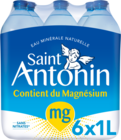 SAINT ANTONIN EAU MINÉRALE NATURELLE - ST ANTONIN en promo chez Auchan Hypermarché Aix-en-Provence à 1,71 €