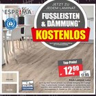 Klick-Laminat Lona Angebote von ESPRIMA bei Wilhelm Pelster GmbH & Co. KG Dülmen für 12,99 €