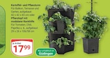 Aktuelles Kartoffel- und Pflanzturm oder Pflanztopf mit modularer Rankhilfe Angebot bei GLOBUS in Saarbrücken ab 17,99 €