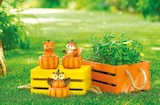 Gartendeko Tier im Kürbis Fuchs im Angebot bei Netto mit dem Scottie in Lutherstadt Wittenberg Gartendeko Tier im Kürbis Fuchs Angebote bei Netto mit dem Scottie Lutherstadt Wittenberg für 6,99 €