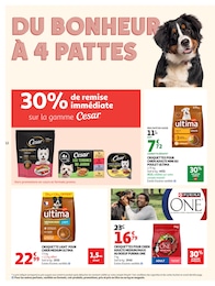Prix et réduction César dans le prospectus Auchan Hypermarché en cours Offre César dans le catalogue Auchan Hypermarché du moment à la page 14