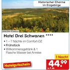 Hotel Drei Schwanen **** für 44,99 € bei Netto Marken-Discount im Angebot Hotel Drei Schwanen **** im aktuellen Netto Marken-Discount Prospekt